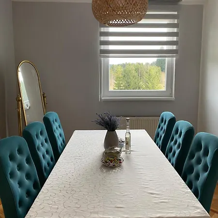 Viola 144 Apartman Han Pijesak