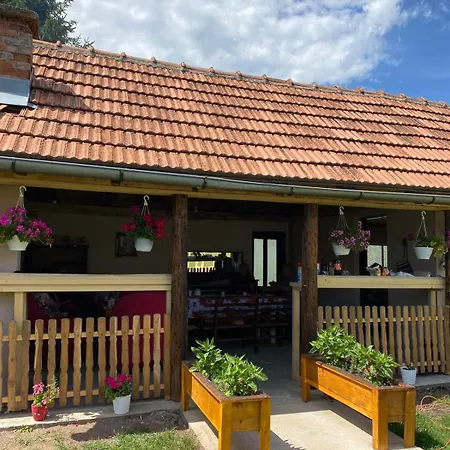 Apartman Viola 144